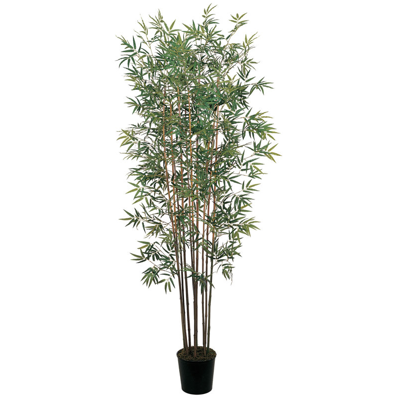 Faux Bamboo Tree