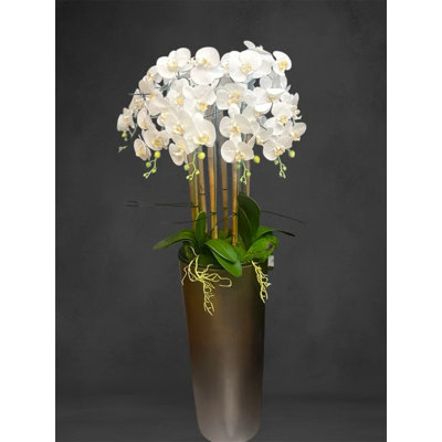 Orchid Arrangement in Planter