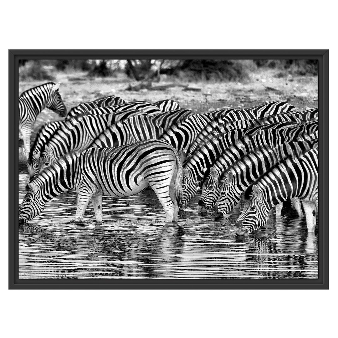 Gerahmtes Wandbild Zebras Safari Afrika