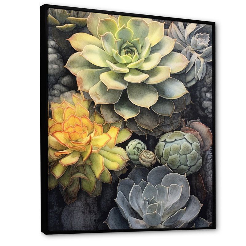 «Green Grey Resilience Succulent», reproduction sur toile, Cadre flottant noir, H 32 po x l 16 po x P 1 po