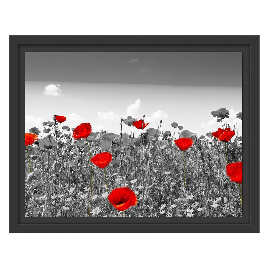 Gerahmtes Wandbild schöner rot leuchtender Mohn