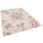 Finneytown Floral Indoor / Outdoor Area Rug-189372921