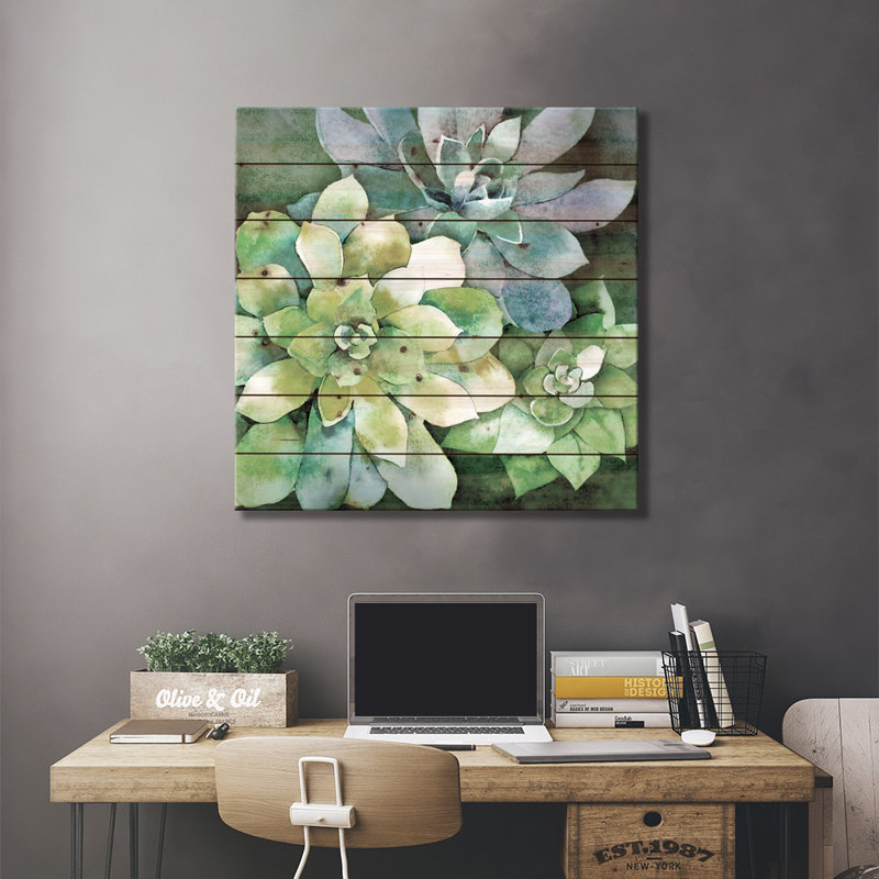 Plantes grasses estivales