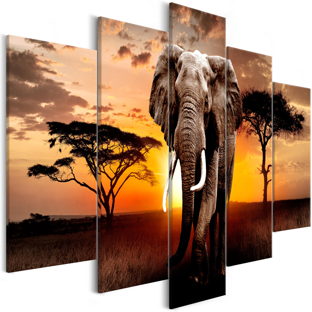 5-tlg. Leinwandbilder-Set "Wandering Elephant"