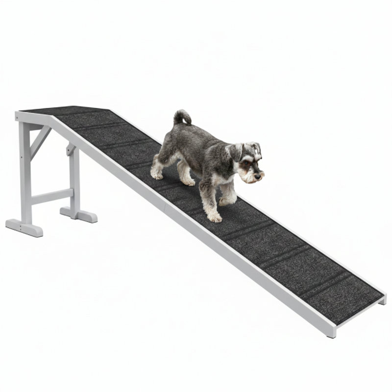 Rampe d'accès Canine, Gris