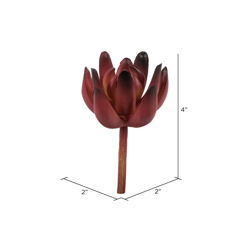 Tige de plante grasse