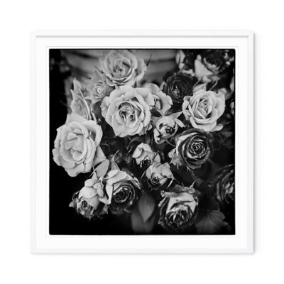 Fading Roses - Picture Frame Photograph on Paper 