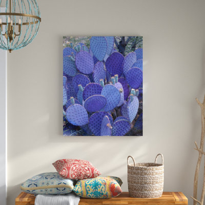 « santa rita prickly poir », reproduction de photo sur toile tendue