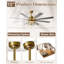 Grand ventilateur de plafond 72 pouces doré moderne avec télécommande, fandelier réversible à 8 pales avec lumière en cristal floral, moteur à courant continu silencieux à 6 vitesses pour les grandes pièces, les salons et les hauts plafonds