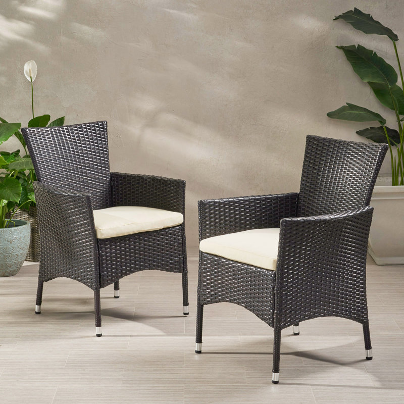 Clementine Outdoor Multi PE Wicker Dining Chairs (Set of 2) for Durable and Stylish Patio Seating, Weather-Resistant and Easy to Maintain