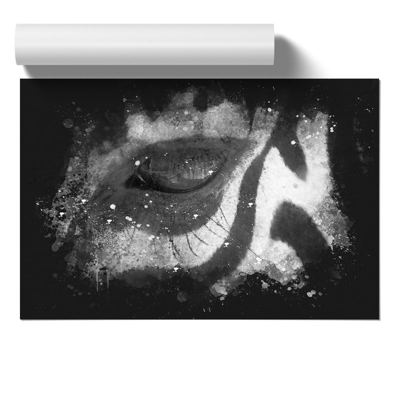 Zebra Paint Splash - Frameless Print, 42cm H x 59cm W x 0.1cm D
