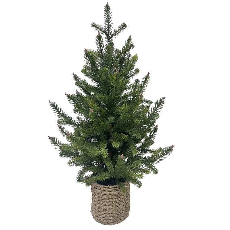PINE TREE WITHBASKET