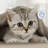 Microfleece Blanket, Blanket,  All-Season Comfort,  Supersoft Lightweight Throw Blanket, Plush Throw Blanket for Bed Couch or Sofa, Travel Blanket, Pet-Friendly-12818265-112472763
