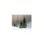 Paysage d'hiver, art mural 24 po x 18 po