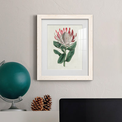 Protea N13 - Peinture encadrée