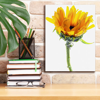 Tournesol dans le soleil sur toile par Pamela Plummer