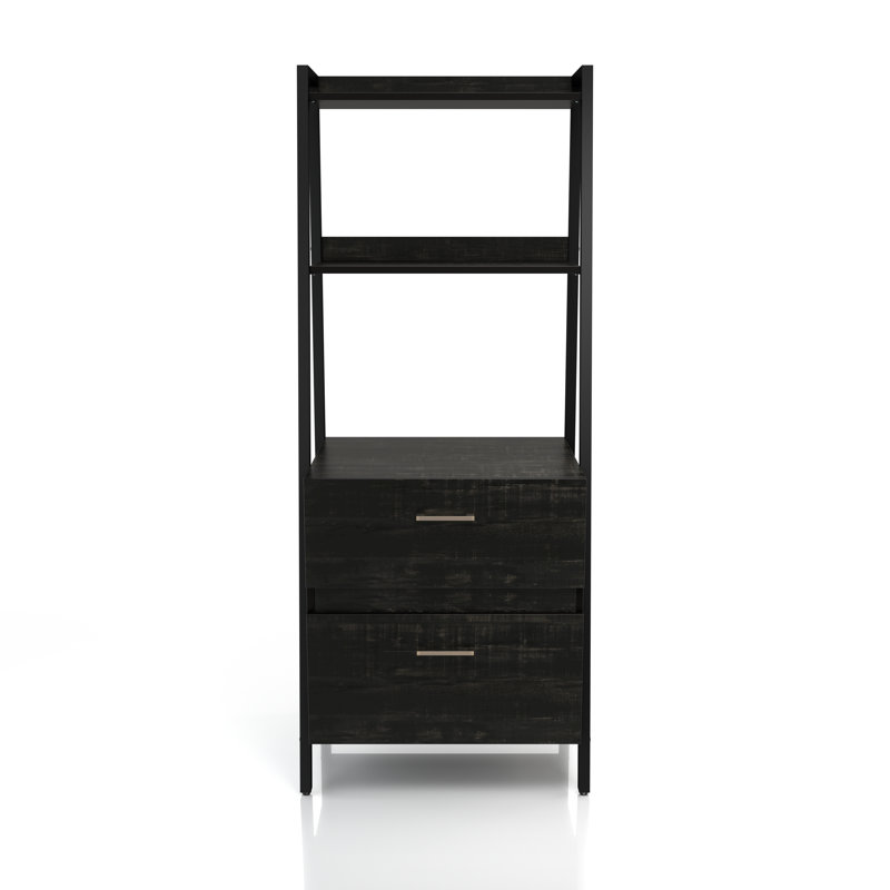 25.59'' Wide 2 -Drawer File Cabinet, Black