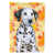 Chiot Dalmatien sélectionné