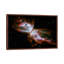 Butterfly Nebula Hubble Space Telescope - Print on Canvas-546283618-656882498