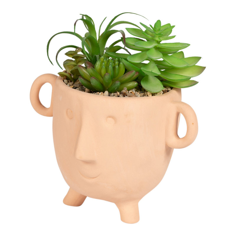 Faux Cactus Plant in Terracotta Pot, 27cm H x 22cm W x 19cm D