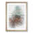 Oak Framed selected