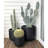 Dorlis Handmade Pot Planter-1541359034-1541359038