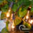 Culmore 22 - Bulb 240'' Plug-in String Light-273704606