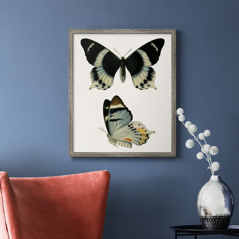 «Antique Blue Butterflies I», toile encadrée de qualité supérieure - prête à être accrochée, Argent patiné, H 24 po x l 20 po