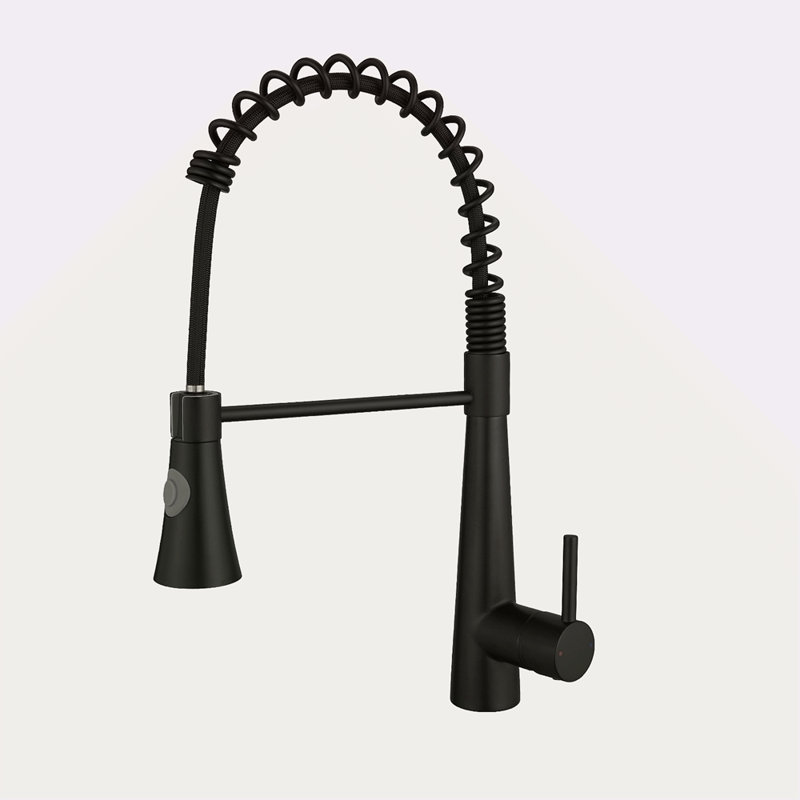 Robinet de cuisine commercial noir avec douchette extractible, robinet d'évier de cuisine à poignée simple