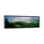 Black Framed Canvas