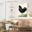 Poulet noir debout Brampt-108663373
