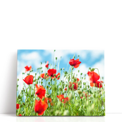 «Poppy Flowers Against Blue Skies», reproduction d'art sur toile