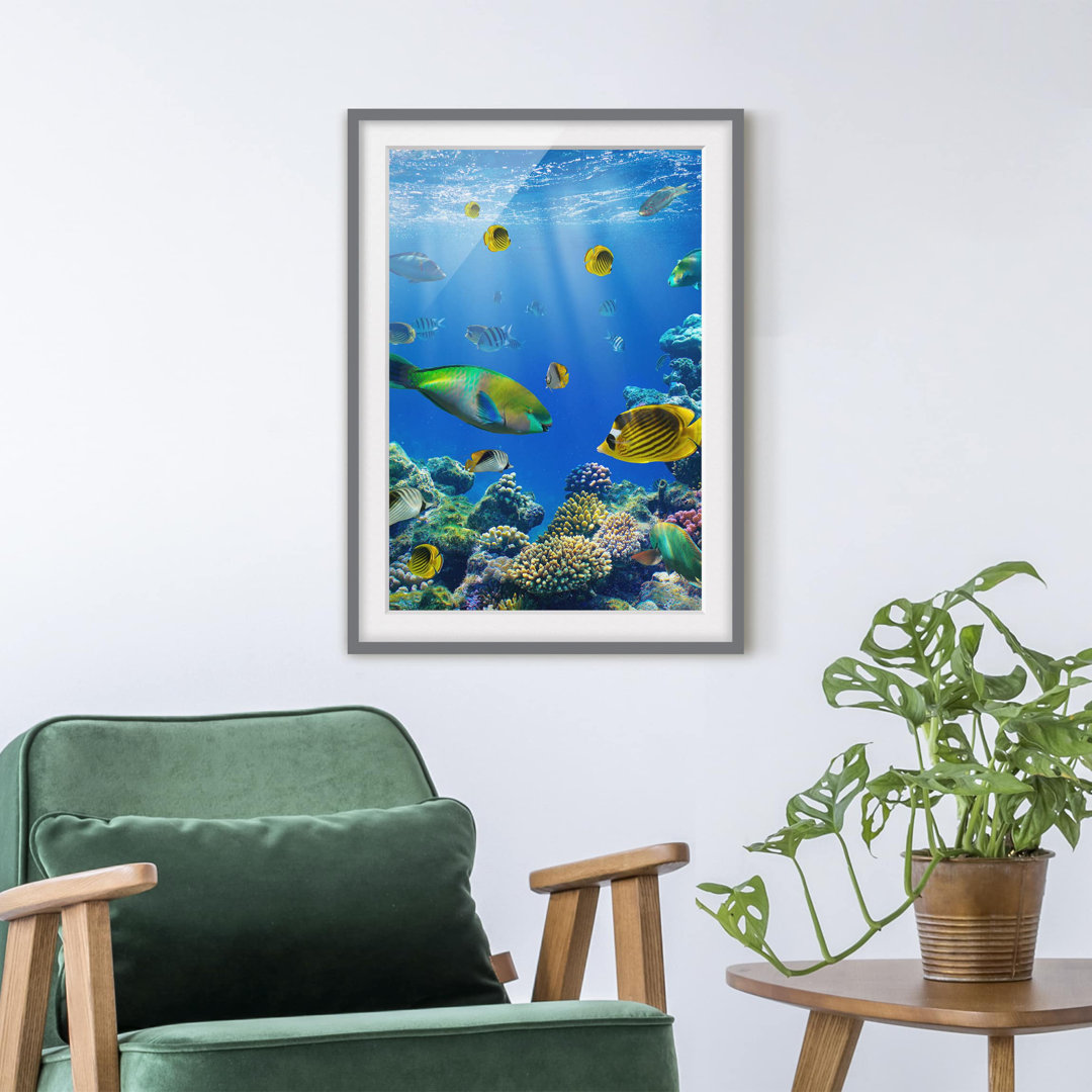 Gerahmtes Poster Underwater Lights