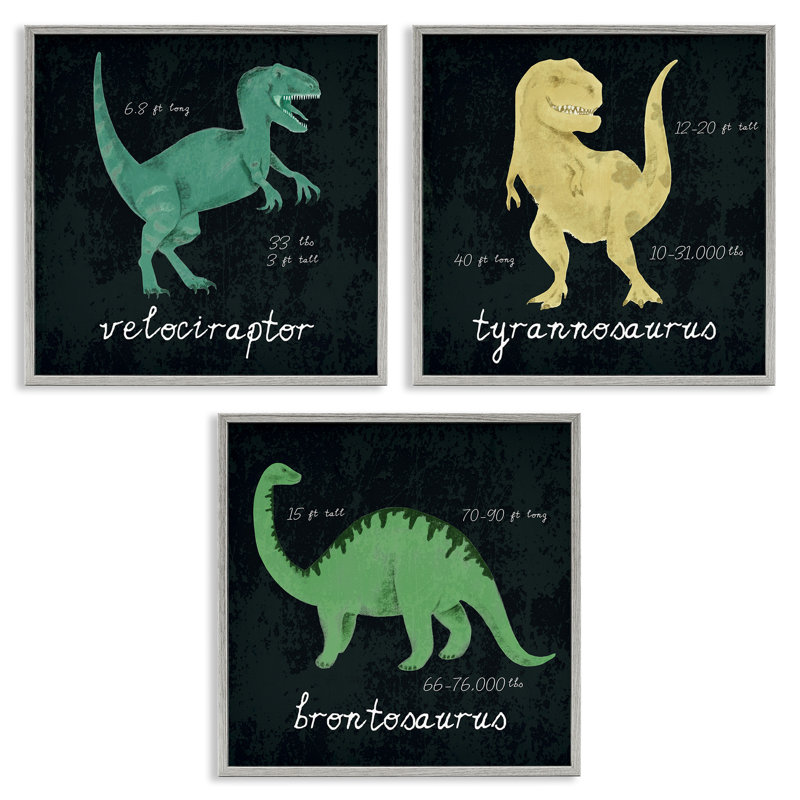 «Kid's Dinosaur Dimension Facts Chalk Inspired Design» par Daphne Polselli - ensemble de 3 impressions d'art graphique