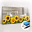 Magnetic Glass Dry Erase Board