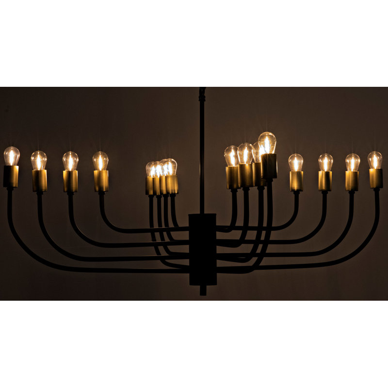 Claude 16 - Light Chandelier