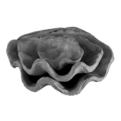 Set of 3 Clam Shells