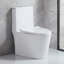 Petite toilette compacte une pièce à double chasse