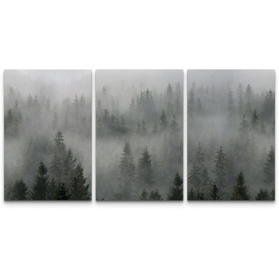 Foggy Pine Forest Landscape in Moody Gray Green Tones - Pictures Framed Canvas Print Wall Art