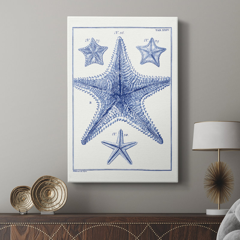 Blue Sea Stars VIII -Gallery Wrapped Cavas, 18" H x 12" W