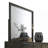 Carine II Mirror