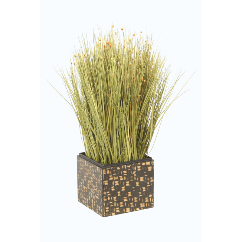 Grass in Wood and Natural Bamboo Box