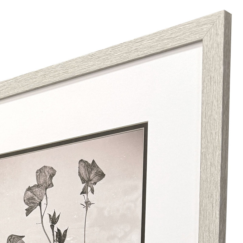 Wildflower Stems I Framed Art