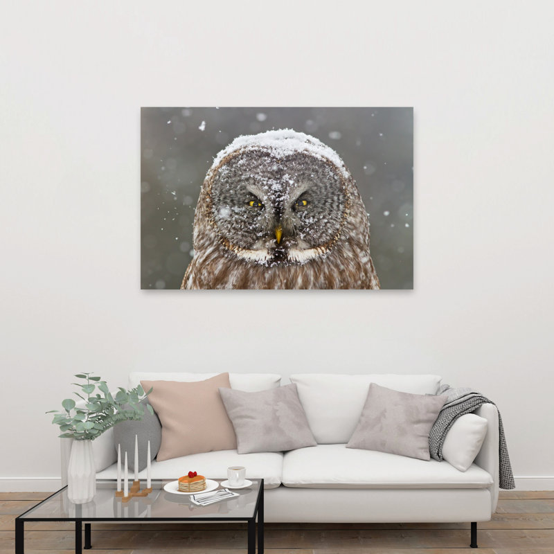 Great Grey Owl Winter Abstract Contemporary Bird Owl Forest Landscape Wall Art Print 1 Piece Wrapped Canvas Wall Art