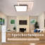Arlener LED Flush Mount-1525308782