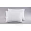 Ensemble de 2 coussins Serta Power Chill-70104713
