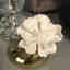 Customer photo 4 of 5