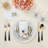 Zodiac Aries Cotton Sateen Cocktail Napkins-122066420