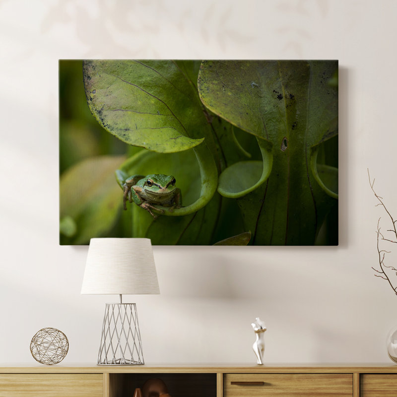 Arboreal Refuge -Custom Wrapped Gallery Cavas