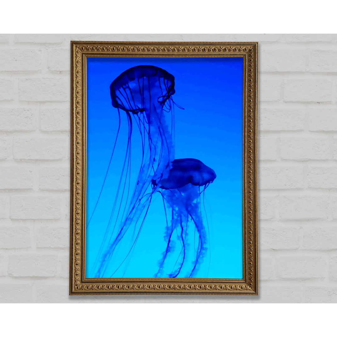 Gerahmtes Leinwandbild Jellyfish Duo